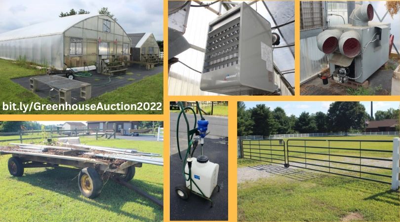 November 5, 2022: Greenhouse Auction