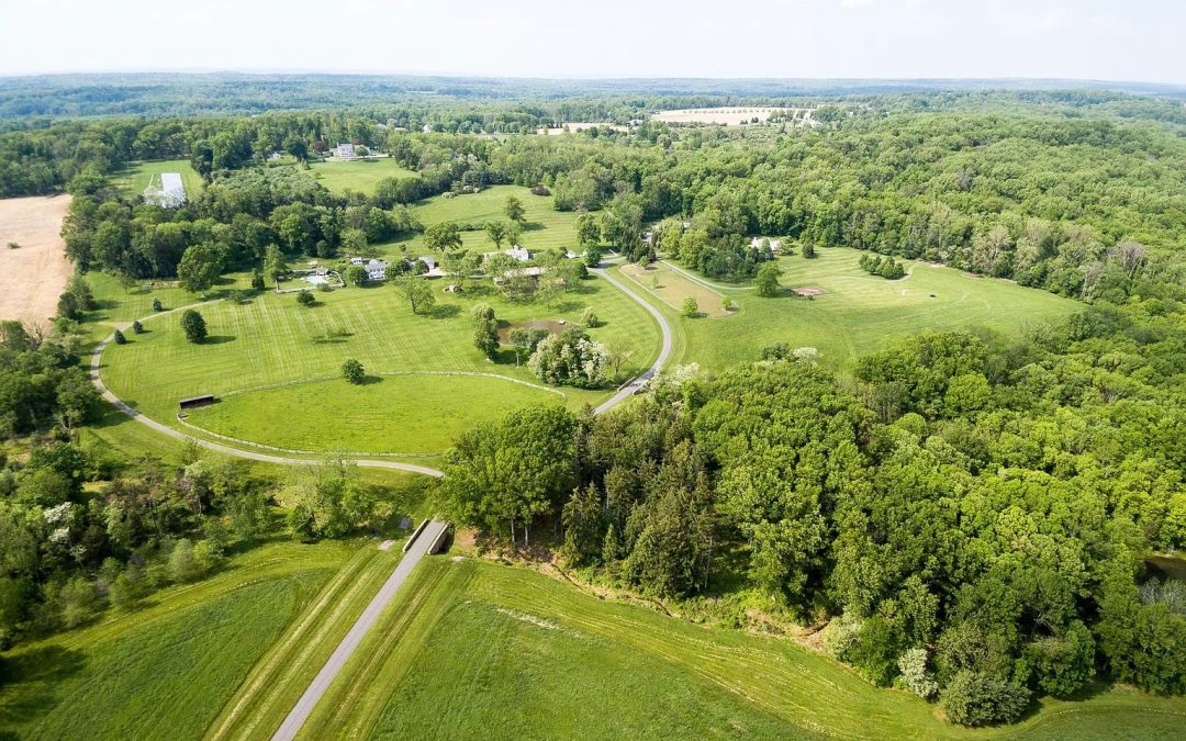Real Estate Auction: Gentleman’s Country Estate