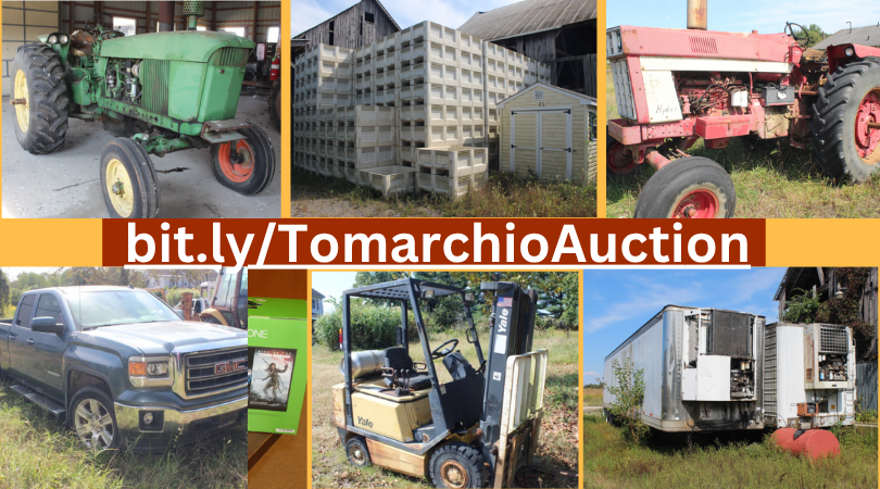 Alfred’s Auctions (10)